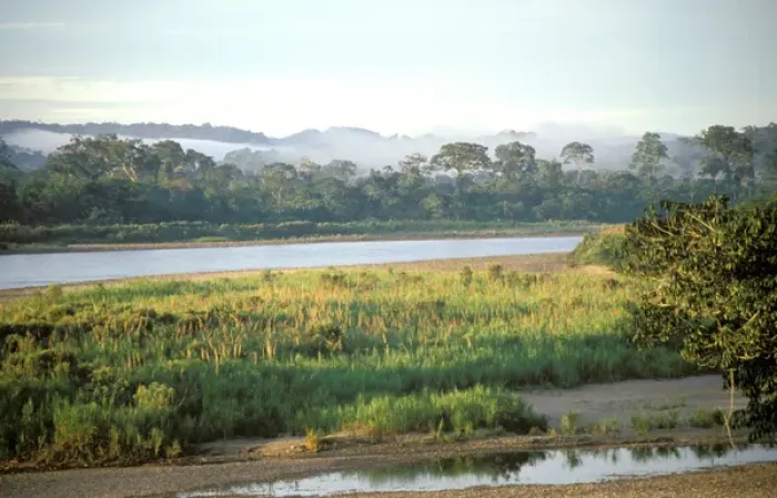 Framed Print : South America, Ecuador, Amazon. Napo River Framed Print : South America, Ecuador, Amazon. Napo River