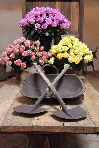 South America, Ecuador, Cayambe. Rosadex Rose arrangements displayed at Hacienda Compania