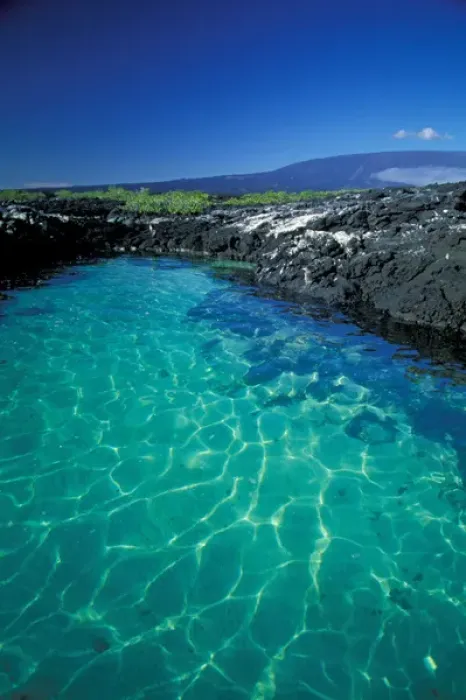 Framed Print : South America, Ecuador, Galapagos, Fernandina Island, Clear Water in lava tide pool Framed Print : South America, Ecuador, Galapagos, Fernandina Island, Clear Water in lava tide pool