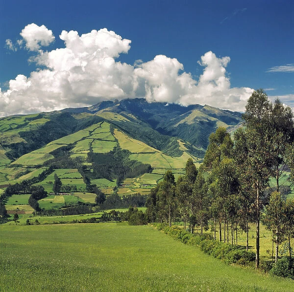 South America, Ecuador, Otavalo. Fertile fields dot the hillsides in the Central