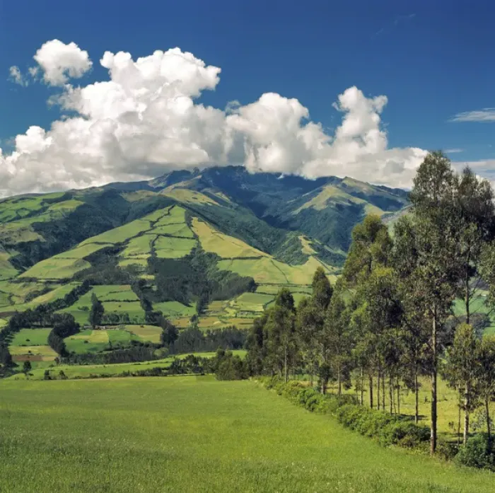Framed Print : South America, Ecuador, Otavalo. Fertile fields dot the hillsides in the Central Framed Print : South America, Ecuador, Otavalo. Fertile fields dot the hillsides in the Central
