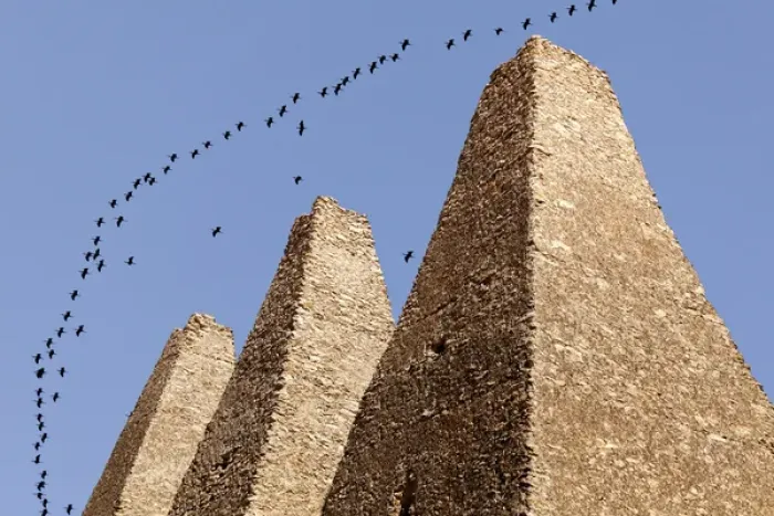Framed Print : South America, Mexico, Mineral de Pozos. Flock of birds flying over ruins of Santa
