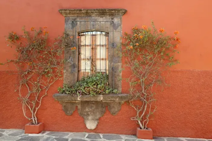 Framed Print : South America, Mexico, San Miguel de Allende. Scenic of window and plants. Credit as Framed Print : South America, Mexico, San Miguel de Allende. Scenic of window and plants. Credit as