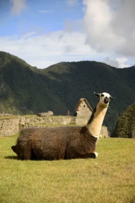 Framed Print : South America, Peru Framed Print : South America, Peru