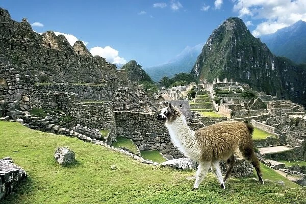 South America, Peru