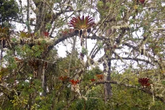 Framed Print : South America, Peru Framed Print : South America, Peru