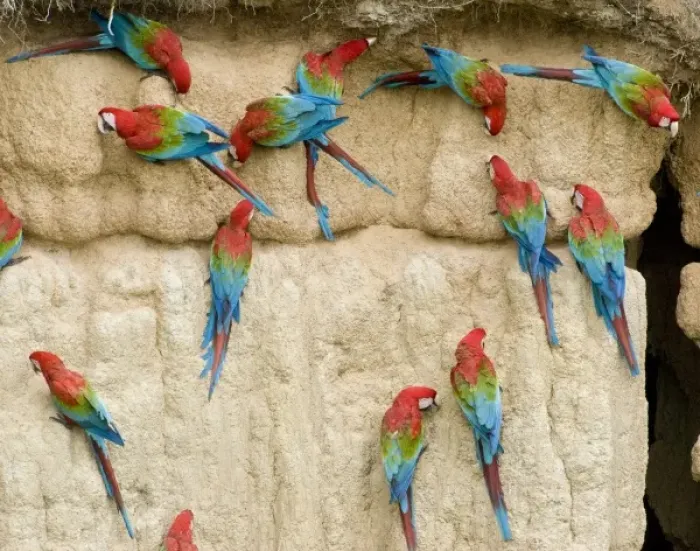 Framed Print : South America, Peru