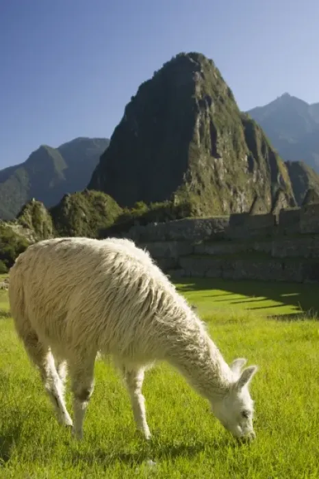 Framed Print : South America, Peru