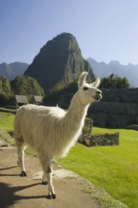 Framed Print : South America, Peru Framed Print : South America, Peru