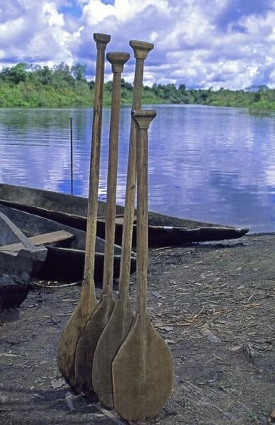 South America, Peru, Amazon River. Canoe Oars