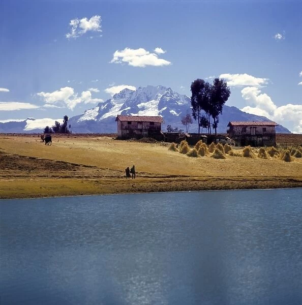 South America, Peru, Chincheros. In Chincheros, golden-hued farmland is surrounded