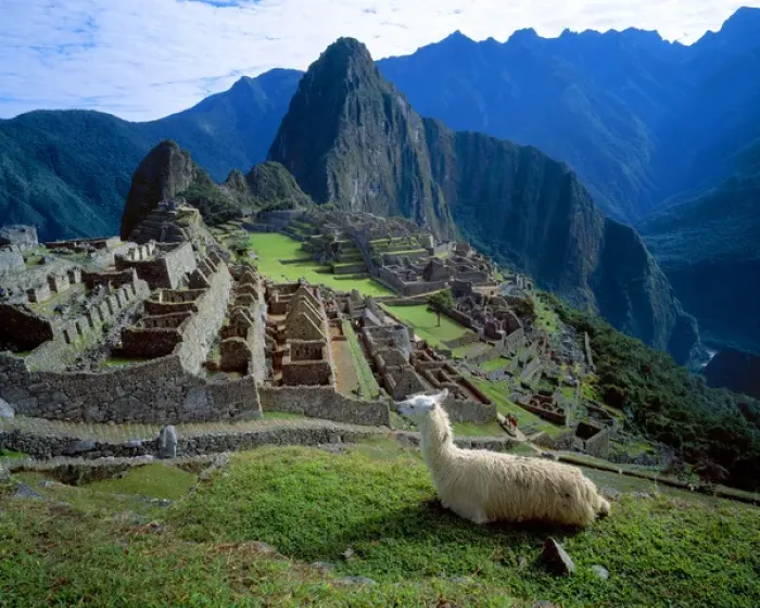 Framed Print : South America, Peru. A llama rests on a hill overlooking the ruins of Machu Picchu Framed Print : South America, Peru. A llama rests on a hill overlooking the ruins of Machu Picchu