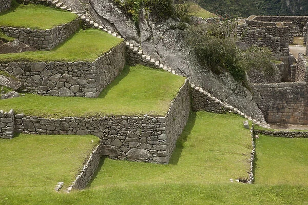 South America, Peru, Machu Picchu. Close-up of agricultural terraces. (UNESCO World