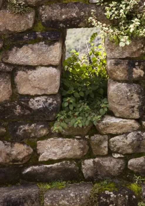 Framed Print : South America, Peru, Machu Picchu. Plants take root in a stone window. (UNESCO World Framed Print : South America, Peru, Machu Picchu. Plants take root in a stone window. (UNESCO World