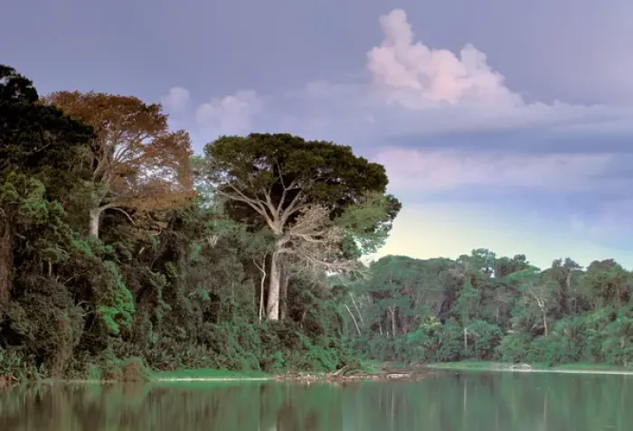 Framed Print : South America, Peru, Manu National Park, Rainforest. Manu river landscape Framed Print : South America, Peru, Manu National Park, Rainforest. Manu river landscape