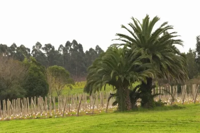 Framed Print : South America, Uruguay