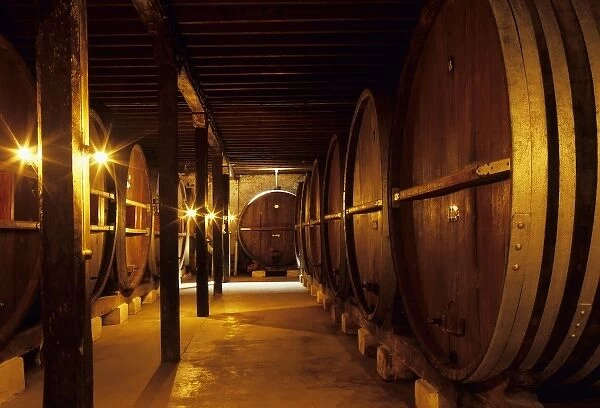South America, Uruguay; fine wine ages in oaken casks in a cool wine cellar