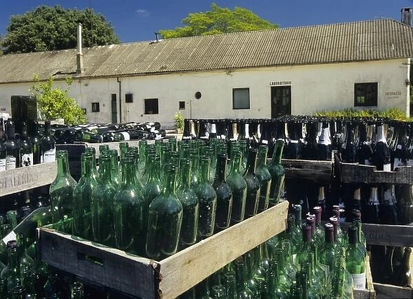 South America, Uruguay; Florida, winery, Wine bottles being re-used and re-filled