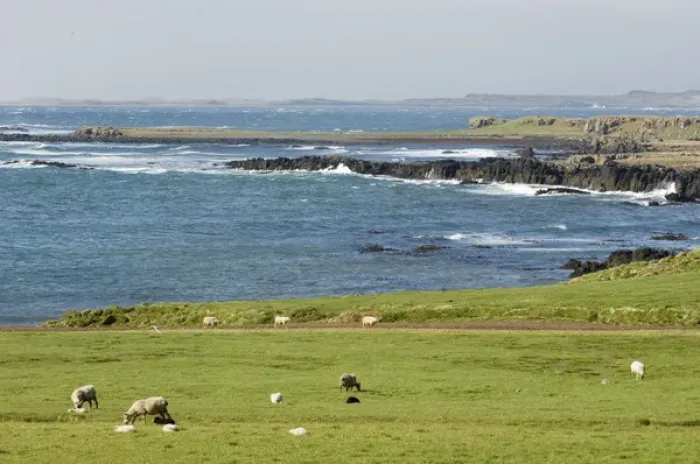 Framed Print : South coast near Breiddalswik, Iceland