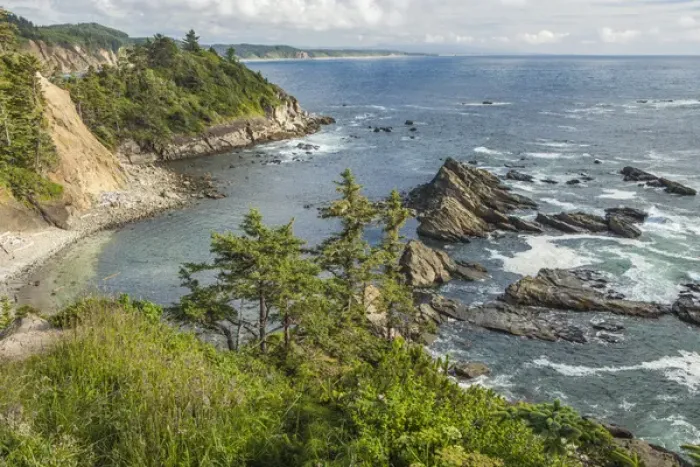 Framed Print : South Cove at low tide as seen from Cape Arago Framed Print : South Cove at low tide as seen from Cape Arago