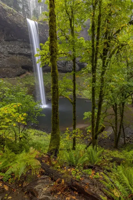 Framed Print : South Falls at Silver Falls State Park near Sublimity, Oregon, USA