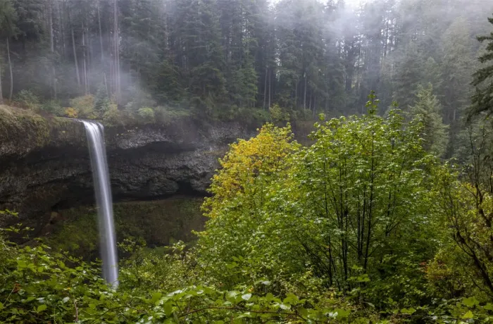 Framed Print : South Falls at Silver Falls State Park near Sublimity, Oregon, USA Framed Print : South Falls at Silver Falls State Park near Sublimity, Oregon, USA