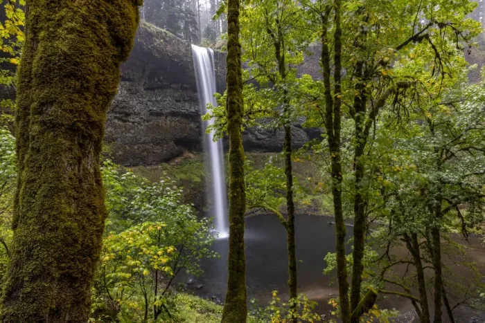 Framed Print : South Falls at Silver Falls State Park near Sublimity, Oregon, USA Framed Print : South Falls at Silver Falls State Park near Sublimity, Oregon, USA