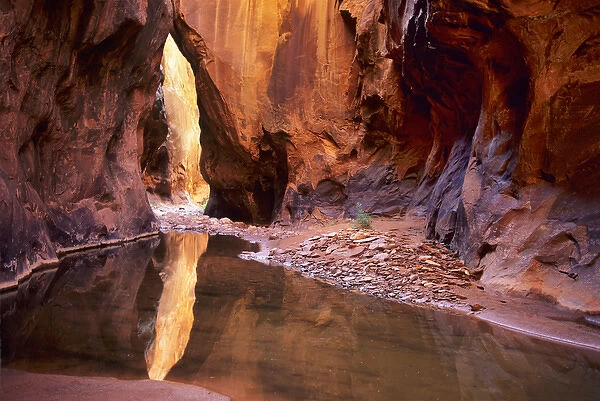South Fork Choprock Canyon in the Escalante Canyons of Glen Canyon National Recreation Area