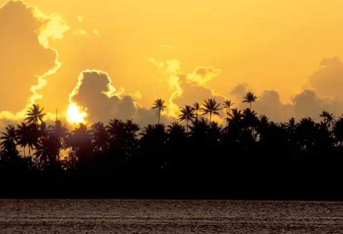 Framed Print : South Pacific, French Polynesia, Bora Bora. Palm trees at sunset