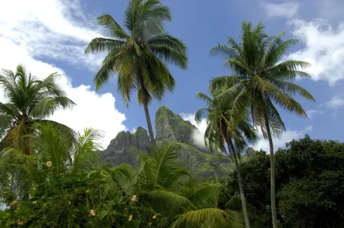 Framed Print : South Pacific, French Polynesia, Society Islands, Bora Bora Framed Print : South Pacific, French Polynesia, Society Islands, Bora Bora