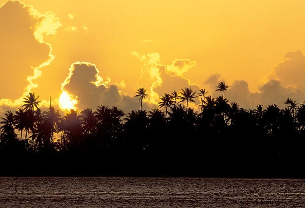 South Pacific, French Polynesia, Bora Bora. Palm trees at sunset