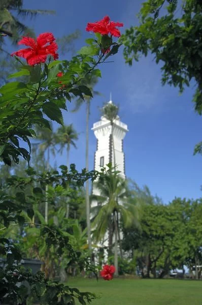 South Pacific, French Polynesia, Tahiti. Hibiscus in front of Venus Point Lighthouse