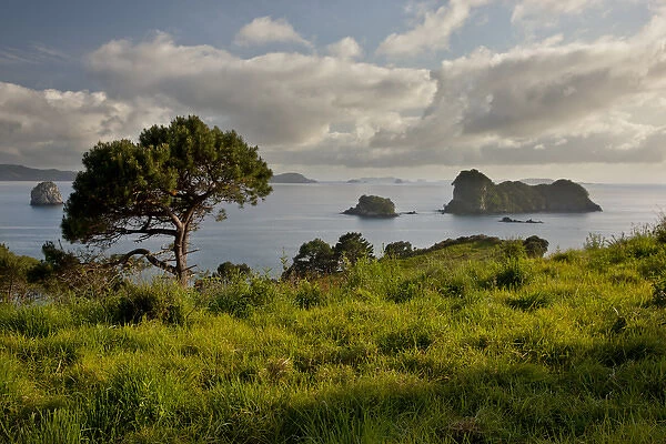 South Pacific, New Zealand, North Island