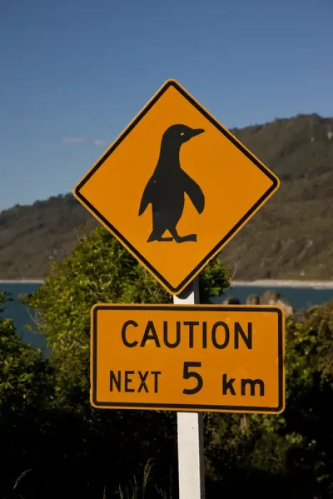 Framed Print : South Pacific, New Zealand, South Island. Traffic sign protecting penguins. Credit as Framed Print : South Pacific, New Zealand, South Island. Traffic sign protecting penguins. Credit as