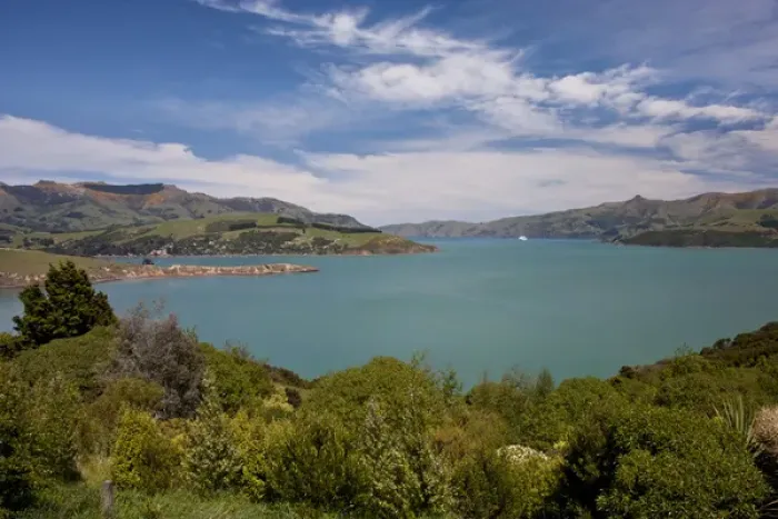 Framed Print : South Pacific, New Zealand, South Island, Akaroa. Landscape of aquamarine harbor Framed Print : South Pacific, New Zealand, South Island, Akaroa. Landscape of aquamarine harbor