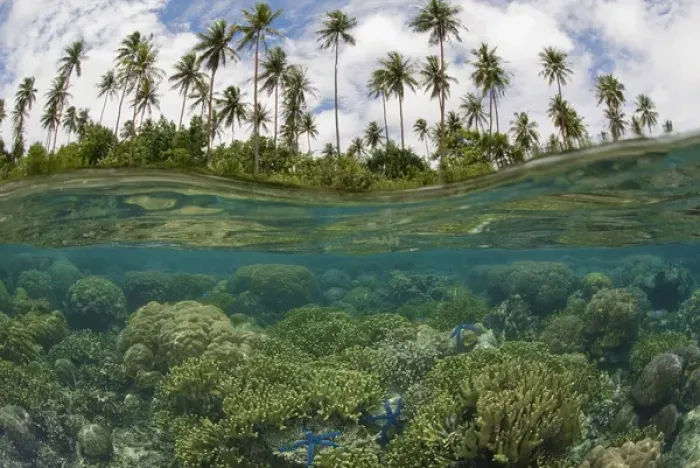 Framed Print : South Pacific, Solomon Islands. Camera held partially underwater showing reef and island palm trees Framed Print : South Pacific, Solomon Islands. Camera held partially underwater showing reef and island palm trees