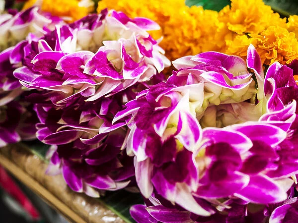 Southeast Asia; Thailand; Bangkok; kBangkok Street Flower Market
