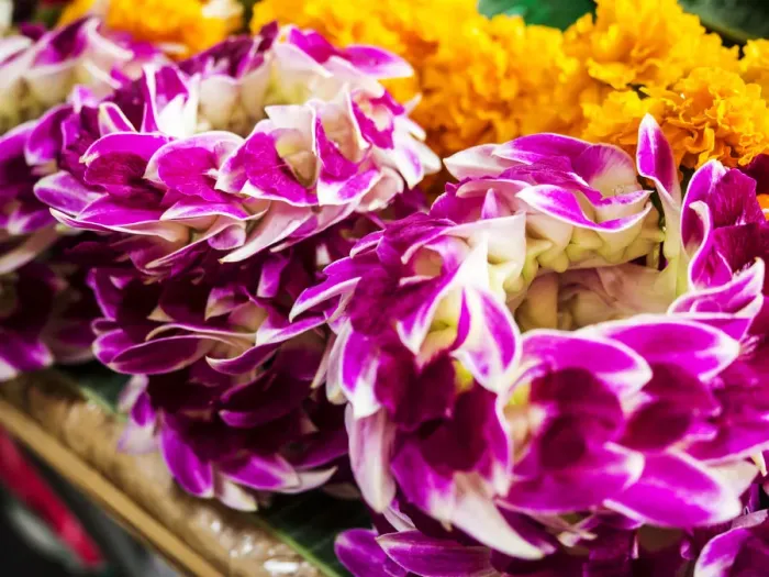 Framed Print : Southeast Asia; Thailand; Bangkok; kBangkok Street Flower Market Framed Print : Southeast Asia; Thailand; Bangkok; kBangkok Street Flower Market