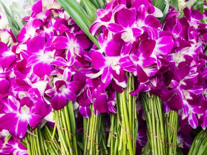 Framed Print : Southeast Asia; Thailand; Bangkok; kBangkok Street Flower Market Framed Print : Southeast Asia; Thailand; Bangkok; kBangkok Street Flower Market