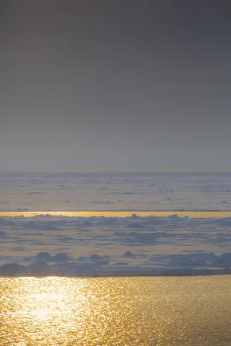 Framed Print : Southern Ocean, Antarctica. Sea Ice and Golden Water at Sunset