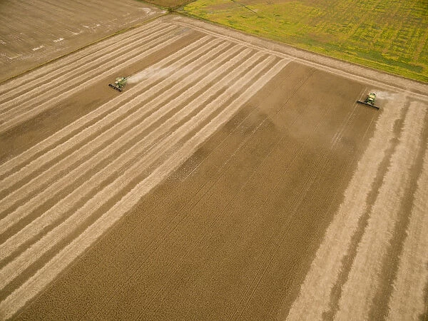 Soybean Harvest, 2 John Deere combines harvesting soybeans - aerial - Marion Co. IL