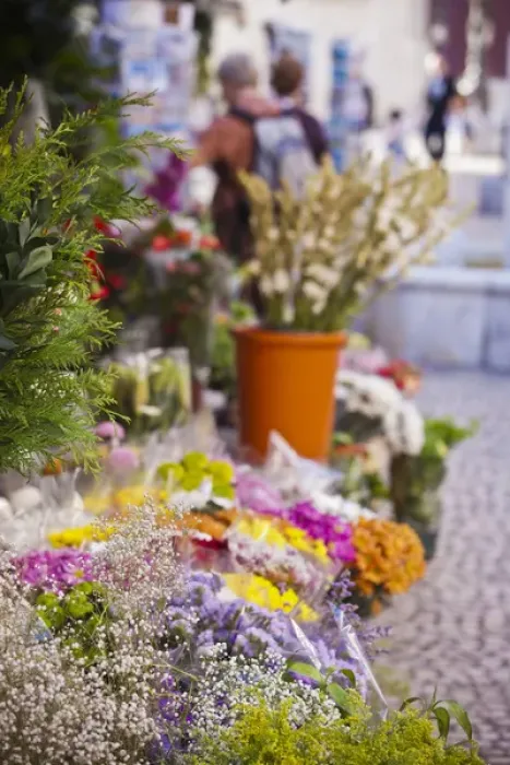 Framed Print : Spain, Andalucia Region, Cadiz Province, Cadiz, Plaza de Topete flower market Framed Print : Spain, Andalucia Region, Cadiz Province, Cadiz, Plaza de Topete flower market