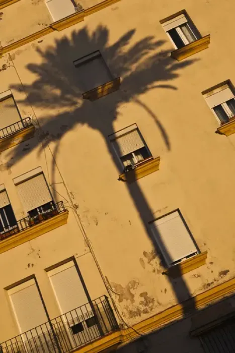 Framed Print : Spain, Andalucia Region, Cadiz Province, Cadiz, Campo del Sur, palm shadow on building Framed Print : Spain, Andalucia Region, Cadiz Province, Cadiz, Campo del Sur, palm shadow on building