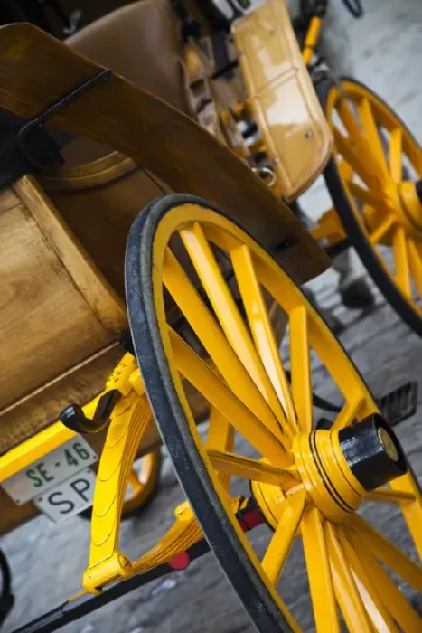 Framed Print : Spain, Andalucia Region, Seville Province, Seville, Horse carriage, Plaza del Triunfo Framed Print : Spain, Andalucia Region, Seville Province, Seville, Horse carriage, Plaza del Triunfo