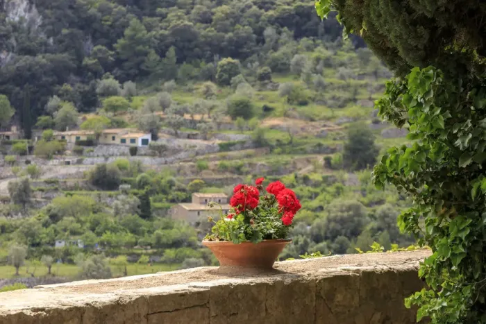 Framed Print : Spain, Balearic Islands, Mallorca, Valldemossa. The Royal Carthusian Monastery, Real Cartuja Framed Print : Spain, Balearic Islands, Mallorca, Valldemossa. The Royal Carthusian Monastery, Real Cartuja