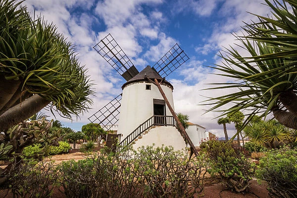 Spain, Canary Islands, Fuerteventura Island, Antigua, traditional island windmill