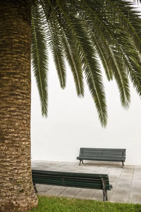 Framed Print : Spain, Canary Islands, La Palma Island, San Andres, detail of the village square Framed Print : Spain, Canary Islands, La Palma Island, San Andres, detail of the village square