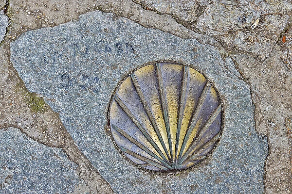 Spain, Galicia. Brass scallop shell to point the way on the Camino de Santiago