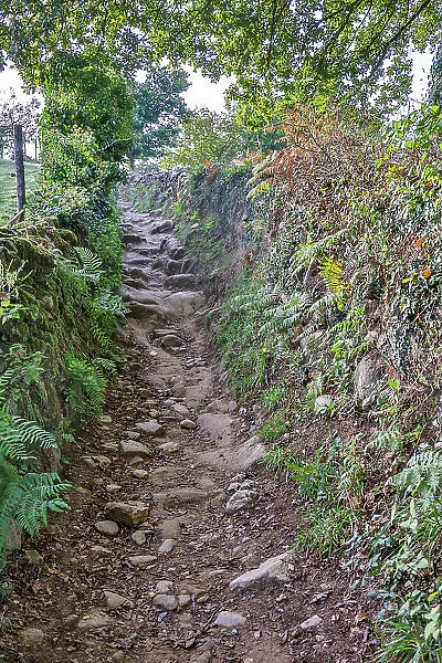 Spain, Galicia. Rocky path on the Camino de Santiago (Way of St. James) between Ventras de Naron and Palas de Rei