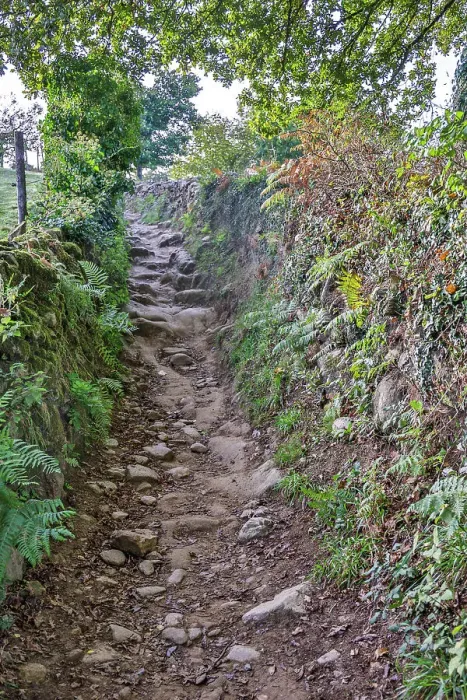 Framed Print : Spain, Galicia. Rocky path on the Camino de Santiago (Way of St. James) between Ventras de Naron and Palas de Rei